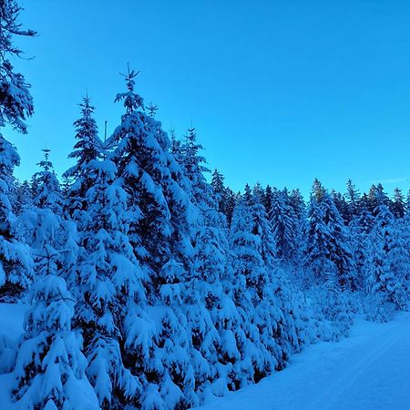Ubytovani Na Lipne Černá v Pošumaví エクステリア 写真